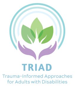 TRIAD logo color icon and text TRIAD Project Logo